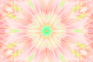 WhatsApp Image 2024-03-22 at 11.31.55 AM (3)